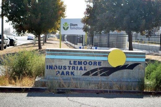 Local tomato processing plant, Olam, will begin the process of downsizing its Lemoore operations.